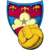 皮内托